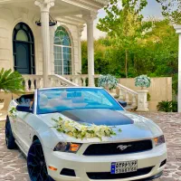 اجاره فورد موستانگ کروک|خدمات پذیرایی، مراسم|رشت, استقامت ۱|دیوار