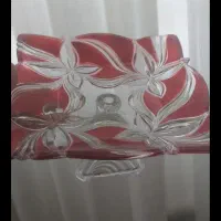 جامیوه ای سوگا ژاپنی