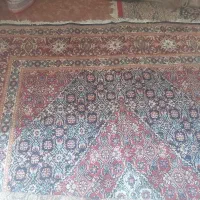 قالی تمیز و قشنگ|فرش|اهواز, چهارصد دستگاه|دیوار