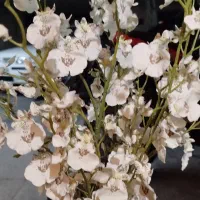گل و گلدان