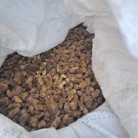 توت خشک