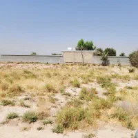فروش زمین ۲۰۰متری در دودمان|فروش زمین و ملک کلنگی|شیراز, دودمان|دیوار