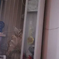 ساعت ایستاده،سفیدرنگ