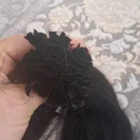 اکستنشن مو حرفه ای زیرقیمت بازار