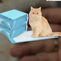 پد بهداشتی فله