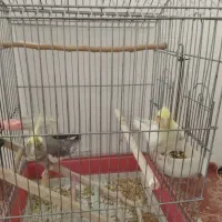 وسایل شخصی کودک|اسباب و اثاث بچه|ملایر, |دیوار