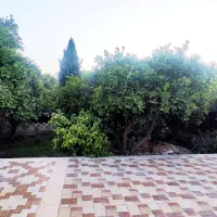 نگهبان کوچه باغ