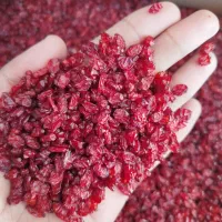 زرشک دانه اناری و زیر تالاری محصول پاییز ۱۴۰۴ قائن