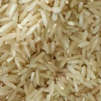 برنج ضیغمی شیروان