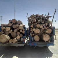 خرید انواع چوب|خدمات باغبانی و درختکاری|اراک, |دیوار