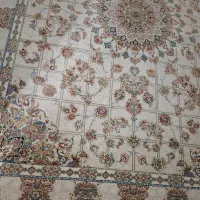 فرش 12متری|فرش|فردیس, داوری|دیوار