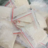 پودر شپش