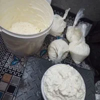 کشک تازه و تمیز کاملاً بهداشتی کیلو 110|خوردنی و آشامیدنی|قم, علی آباد|دیوار