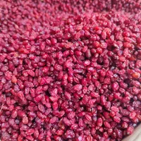 خرید زعفران در محل|خوردنی و آشامیدنی|مشهد, کوی سیدی|دیوار