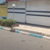 نصف-مغازه-گوشت-مرغ-اجاره-داده-میشود-به-سوسیس-کالبا