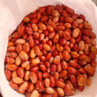سنجد خشک شده|حراج|خرمدره, |دیوار