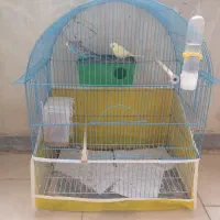 مرغ عشق  با کل وسایل