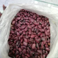 لوبیا قرمز