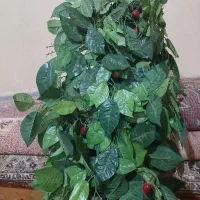 درختچه مصنوعی