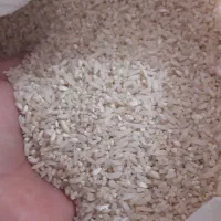 برنج طارم هاشمی|خوردنی و آشامیدنی|بابلسر, |دیوار