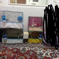 قفس با لوازم کامل