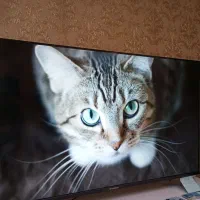 ایکس ویژن ۴۳اینچ هوشمند