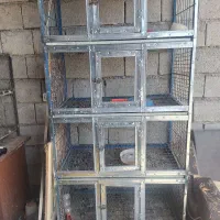 قفس برا مرغ وجوجه