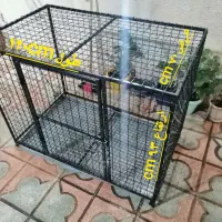 قفس سگ و گنجه کفتر و مرغ و خروس کبوتر|لوازم جانبی حیوانات|شیراز, تحویلی|دیوار