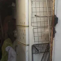 یخچال فریزر سه درب|یخچال و فریزر|اندیمشک, |دیوار