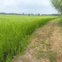۱۰۰۰ متر زمین سنددار بعد از پلیس راه فسا