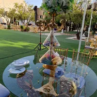 باغ و تالار عمارت شاهان