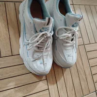 کتونی نو سایز ۳۹ به ۳۸ هم میخوره|کیف، کفش، کمربند|قائمشهر, |دیوار