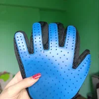 گربه|گربه|گوراب زرمیخ, |دیوار