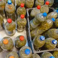 محصولات باکیفیت|خوردنی و آشامیدنی|ساوه, |دیوار