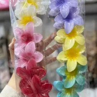 کلیپس فقط ۳۰۰۰۰ت