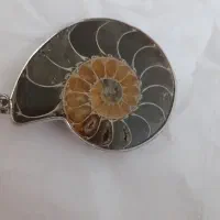 جواهر حلزونی