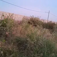 علف زنی