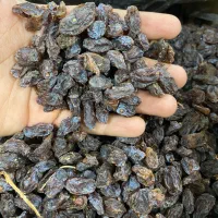 کشمش آبگیری تاکستان|خوردنی و آشامیدنی|تاکستان, |دیوار