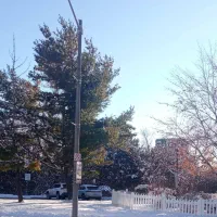 استخدام سرایدار