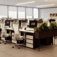 بازاریاب حرفه ای