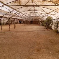 فروش و معاوضه گلخانه ۲۰۰۰متری با تمام امکانات|فروش دفتر صنعتی، کشاورزی، تجاری|خمینی‌شهر, |دیوار