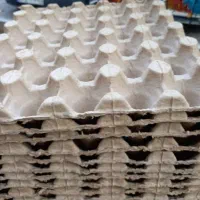 شونه کاغذی تخم مرغ