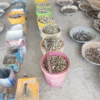 انواع پیچ و مهری