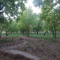 ۵۰۰۰ متر باغ ویلا شهریار رباط کریم|فروش زمین و ملک کلنگی|رباطکریم, پیغمبر|دیوار