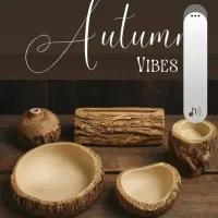 گیفت هفت سین|خدمات پذیرایی، مراسم|گلستان (تهران), |دیوار