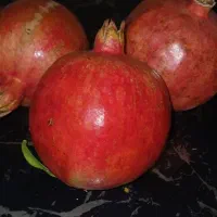 انار|خوردنی و آشامیدنی|قم, باجک سه|دیوار