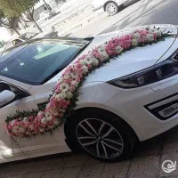ماشین عروس دسته گل عروس(شیک خاص اقتصادی)|خدمات پذیرایی، مراسم|کرمانشاه, |دیوار