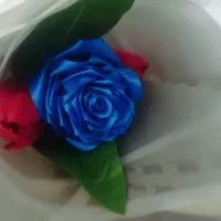 گل روبانی|گل مصنوعی|مرند, |دیوار