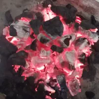 ذغال کبابی عمده