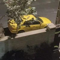 تاکسی دوگانه سوز باخط